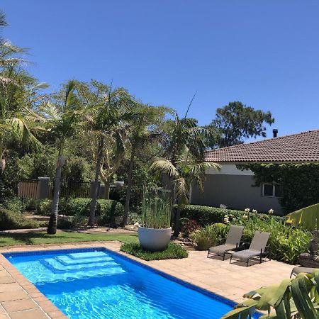 African Palm Cottage And Guesthouse Durbanville Εξωτερικό φωτογραφία