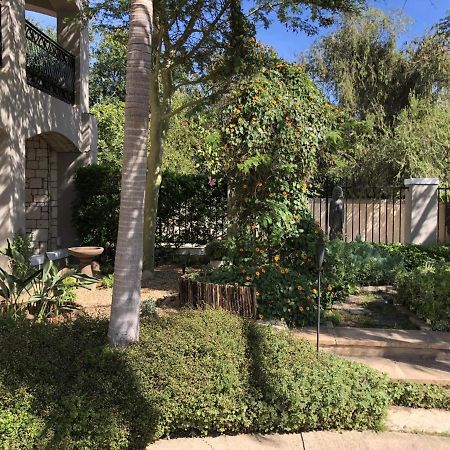 African Palm Cottage And Guesthouse Durbanville Εξωτερικό φωτογραφία