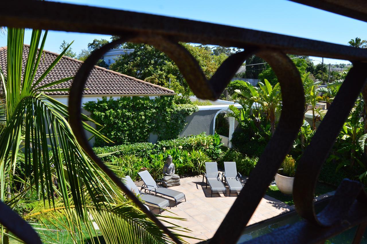 African Palm Cottage And Guesthouse Durbanville Εξωτερικό φωτογραφία