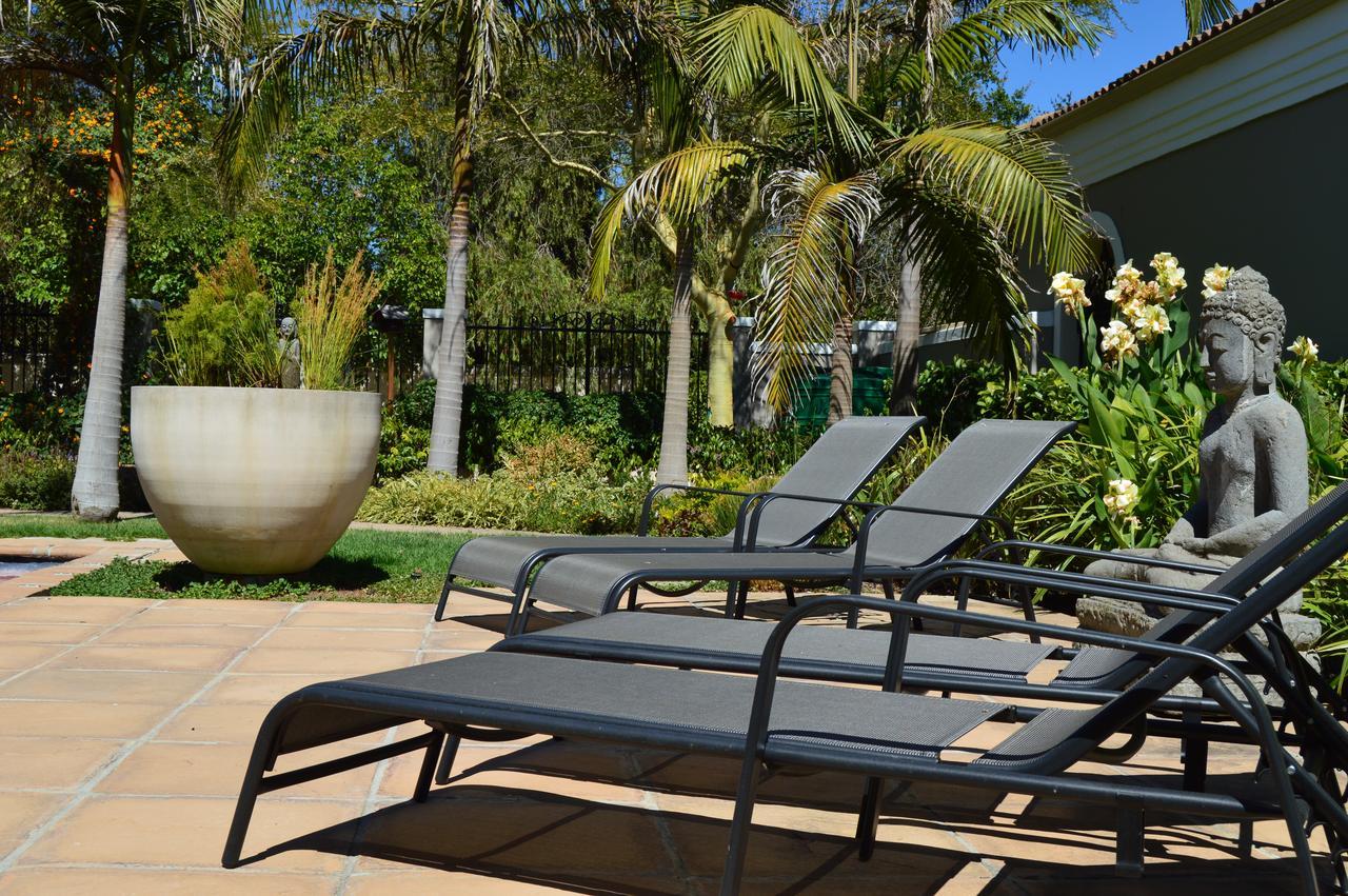 African Palm Cottage And Guesthouse Durbanville Εξωτερικό φωτογραφία