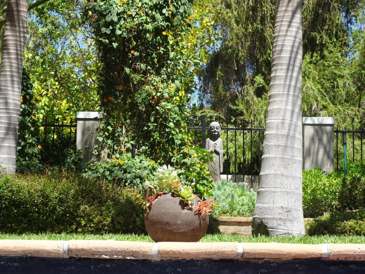 African Palm Cottage And Guesthouse Durbanville Εξωτερικό φωτογραφία
